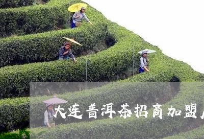 大连普洱茶招商加盟店哪家好/2023052860683