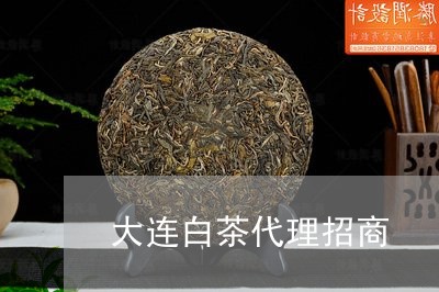 大连白茶代理招商/2023061728515