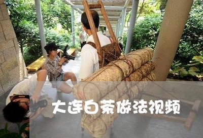 大连白茶做法视频/2023061782948