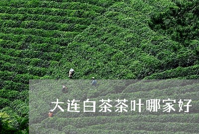 大连白茶茶叶哪家好/2023071702823