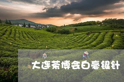 大连茶博会白毫银针/2023071717370