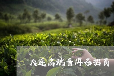 大连高端普洱茶招商/2023042924928