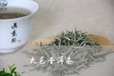 大邑普洱茶/2023090544958