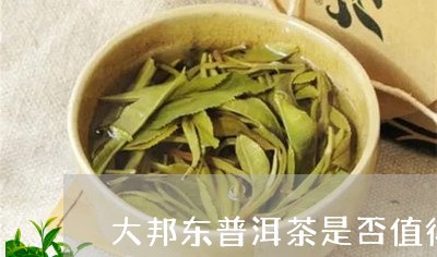 大邦东普洱茶是否值得收藏/2023082824068