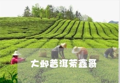 大邺普洱茶鑫哥/2023081583813