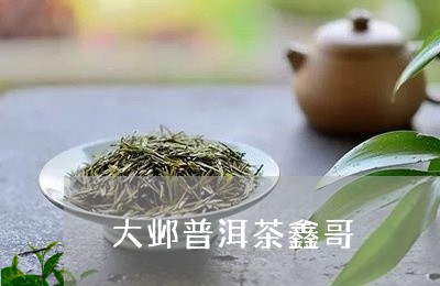 大邺普洱茶鑫哥/2023101663836