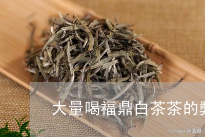 大量喝福鼎白茶茶的弊端/2023092216069