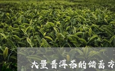 大量普洱茶的储蓄方法/2023080241492