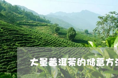 大量普洱茶的储蓄方法/2023100773705