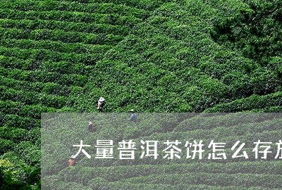 大量普洱茶饼怎么存放比较好/2023121548370