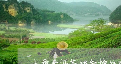 大量普洱茶饼能挣钱吗/2023062362836