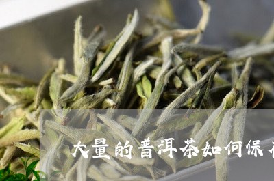 大量的普洱茶如何保存/2023080185126