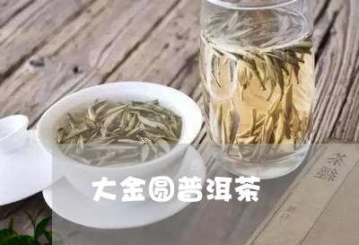 大金圆普洱茶/2023042877352