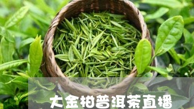 大金柑普洱茶直播/2023101640793