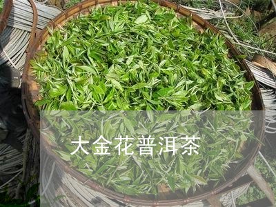 大金花普洱茶/2023091399593