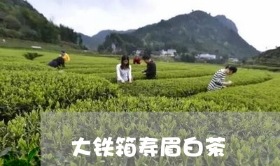 大铁箱寿眉白茶/2023112433146