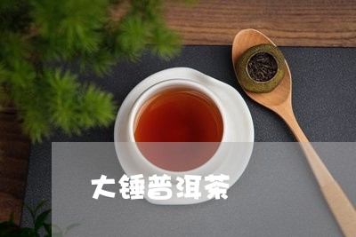 大锤普洱茶/2023082600492