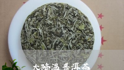 大降温普洱茶/2023112645936