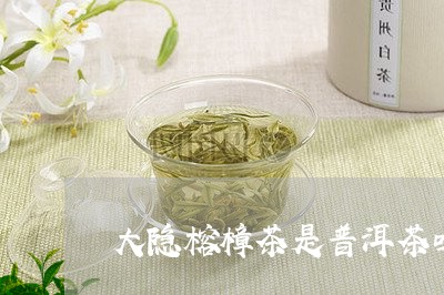 大隐榕樟茶是普洱茶吗/2023062229602