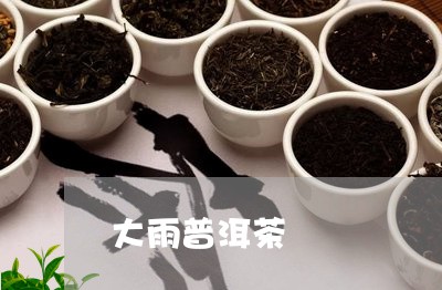 大雨普洱茶/2023082950715