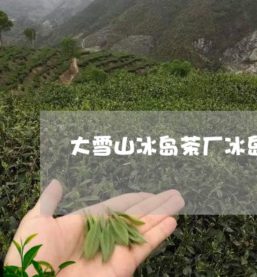 大雪山冰岛茶厂冰岛茶/2023092355158