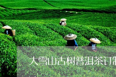 大雪山古树普洱茶订制/2023062953838