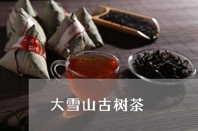 大雪山古树茶/2023042960285