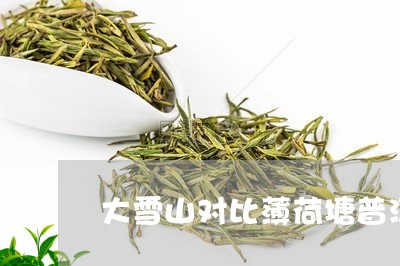 大雪山对比薄荷塘普洱茶/2023082996293