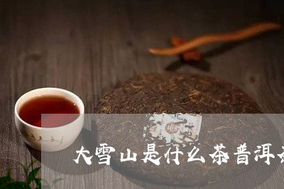 大雪山是什么茶普洱茶都有什么品牌/2023060345969