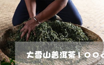 大雪山普洱茶100g/2023092704914