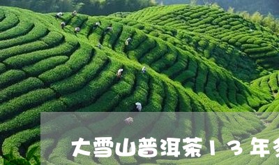 大雪山普洱茶13年多少钱/2023102525046