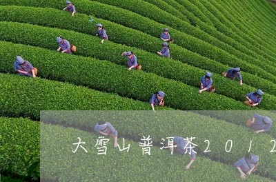 大雪山普洱茶2012/2023100683957