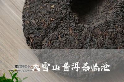 大雪山普洱茶临沧/2023101684935