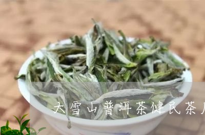 大雪山普洱茶健民茶厂/2023093077179