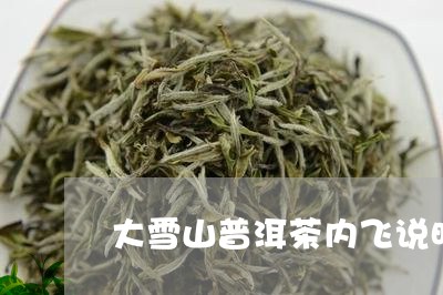 大雪山普洱茶内飞说明/2023061697574