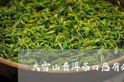 大雪山普洱茶口感有奶香味/2023082590647