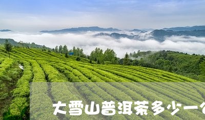 大雪山普洱茶多少一公斤/2023120754917