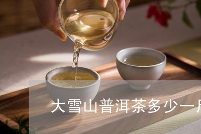 大雪山普洱茶多少一斤/2023072273709