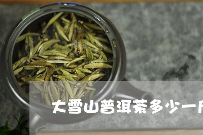 大雪山普洱茶多少一斤/2023092694948