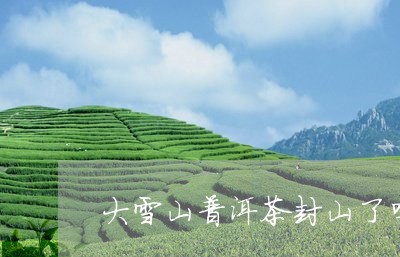 大雪山普洱茶封山了吗/2023072486260