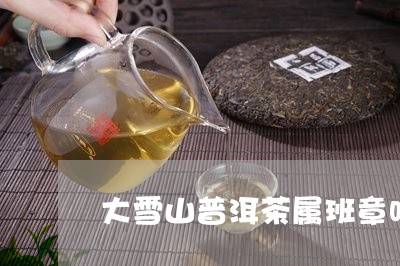 大雪山普洱茶属班章吗/2023061592025