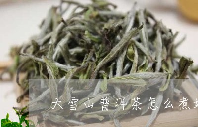 大雪山普洱茶怎么煮好喝/2023102401817