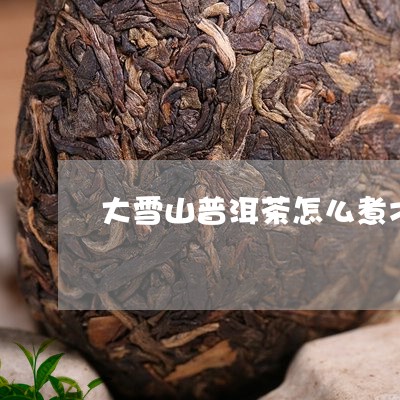 大雪山普洱茶怎么煮才好喝/2023112473703