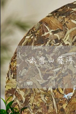 大雪山普洱茶散茶味道/2023073114149