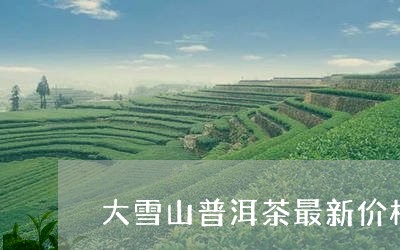 大雪山普洱茶最新价格/2023070153716