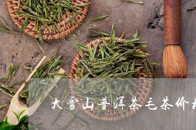 大雪山普洱茶毛茶价格/2023092848379