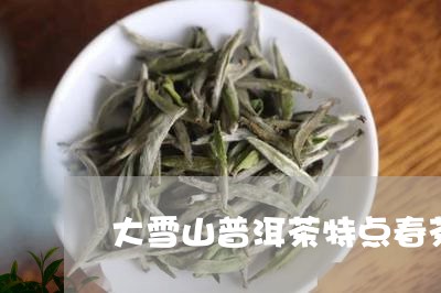 大雪山普洱茶特点春茶/2023062265257