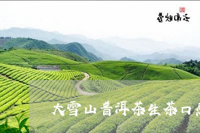 大雪山普洱茶生茶口感/2023062438360