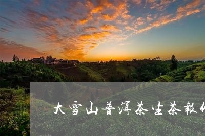 大雪山普洱茶生茶报价/2023082738172