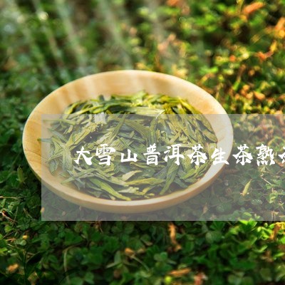 大雪山普洱茶生茶熟茶/2023121571593